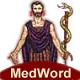 OMNINET-MEDWORD LLC